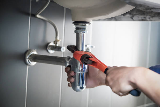 Best 24/7 Emergency Plumbing Services  in Lovelock, NV